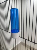 2GR Vogeldrinkfontein Clic – Blauw – Hoge Voet – 100 ml - Tweede afbeelding