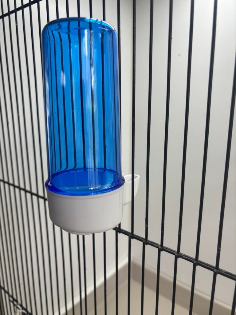 2GR Vogeldrinkfontein Super - Blauw - 200 ml - Tweede afbeelding