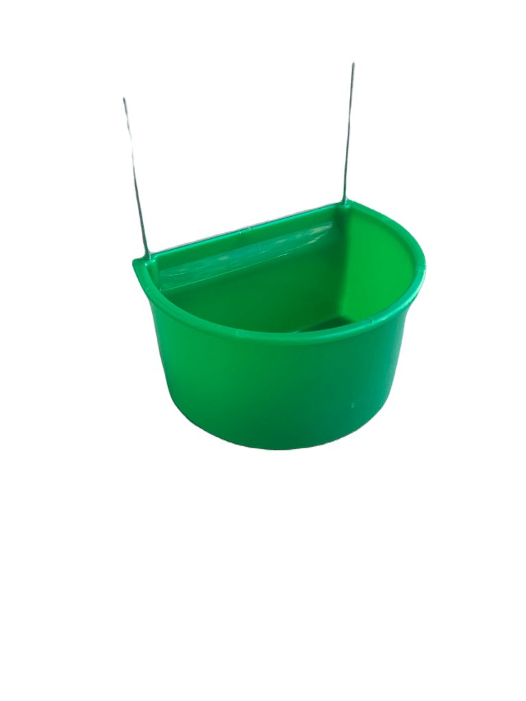 Kolibrie bakje groot groen
