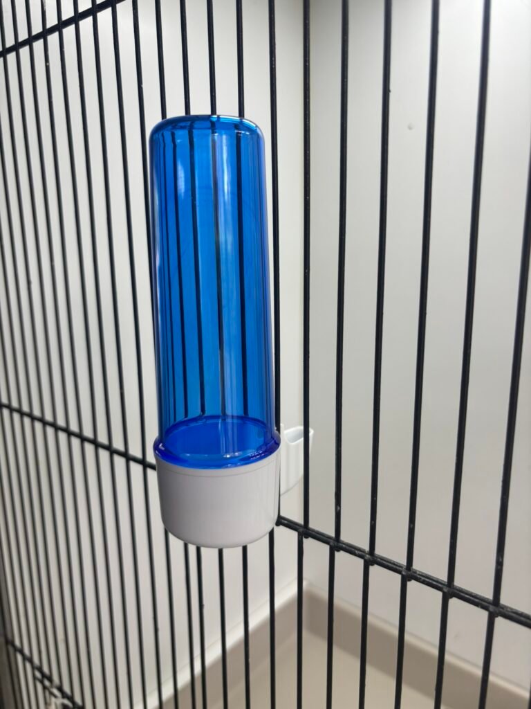 2GR Vogeldrinkfontein Clic – Blauw – Lage Voet – 100 ml - Tweede afbeelding