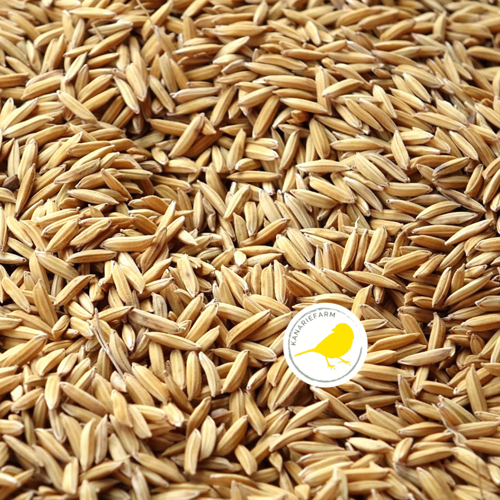 Paddy Rijst - 2 of 4 Kilo