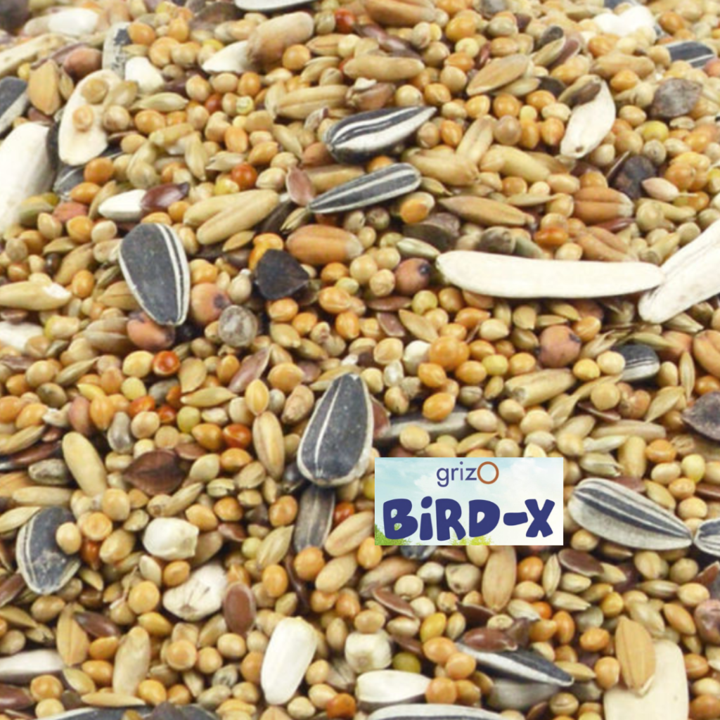 Bird-X Valkparkietenzaad - 2 of 4 Kilo