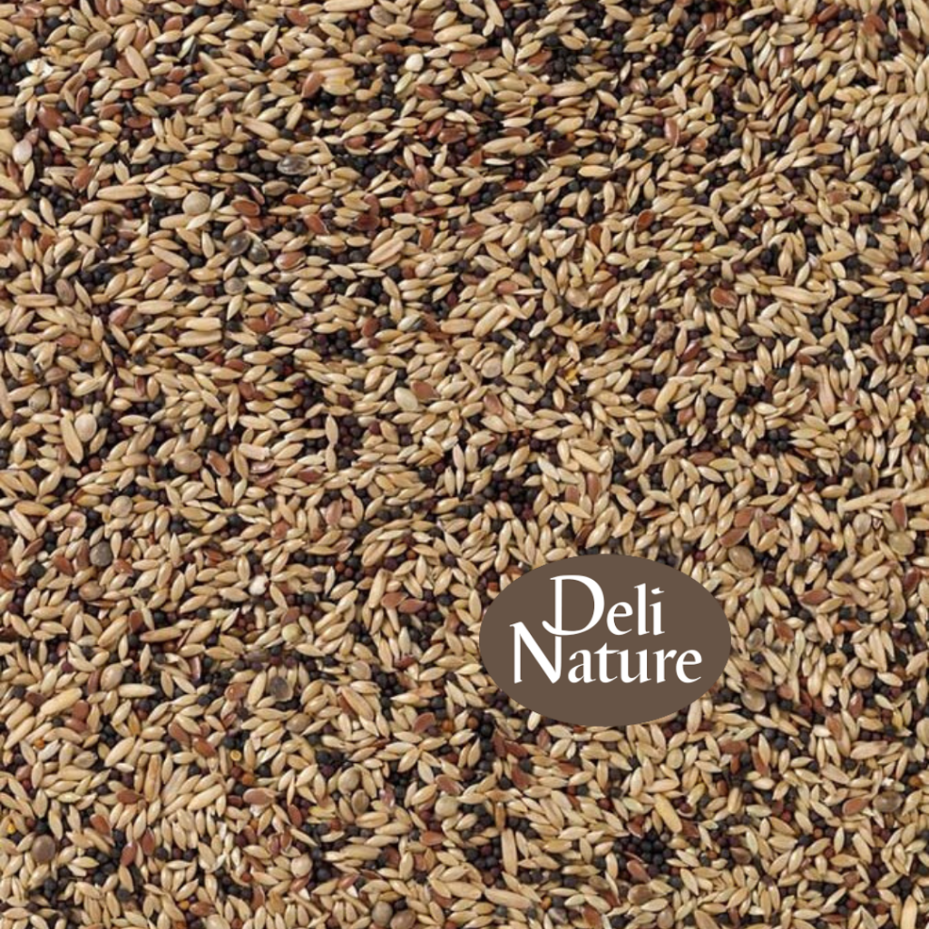 Deli Nature 53 - Kanarie Extra