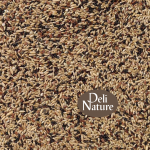 Deli Nature 53 - Kanarie Extra