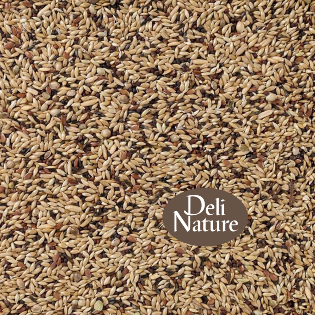 Deli Nature 55 - Kanarie Suprème