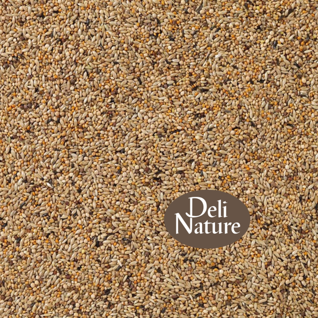 Deli Nature 84 - APV Gould