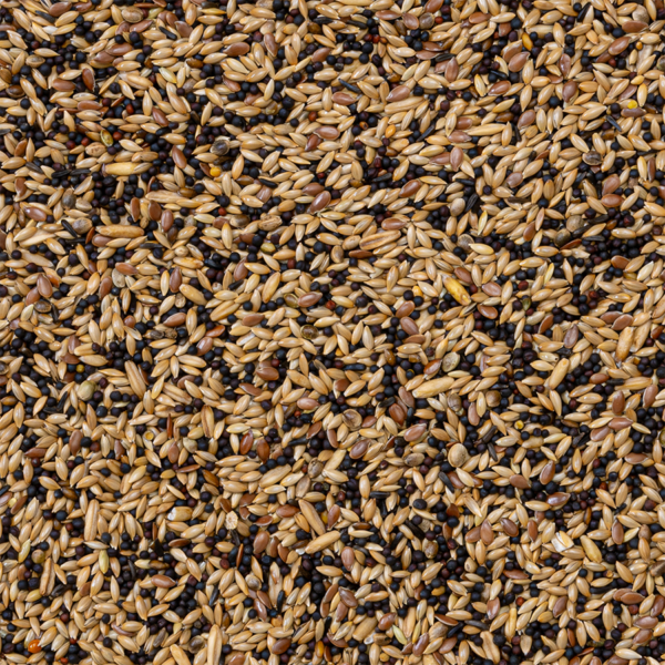 Deli Nature 53 - Kanarie Extra - 20 Kilo