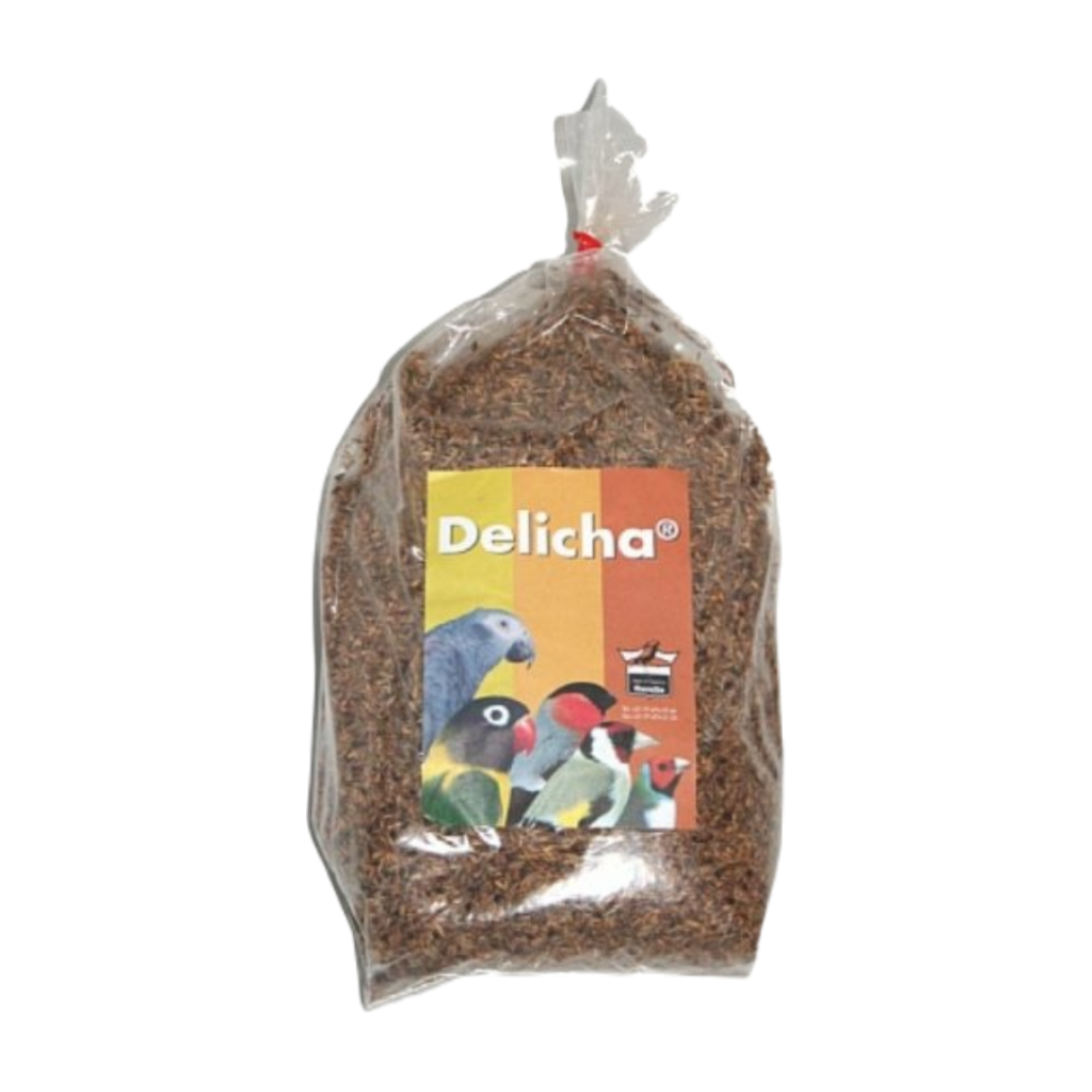 Delicha graszaad