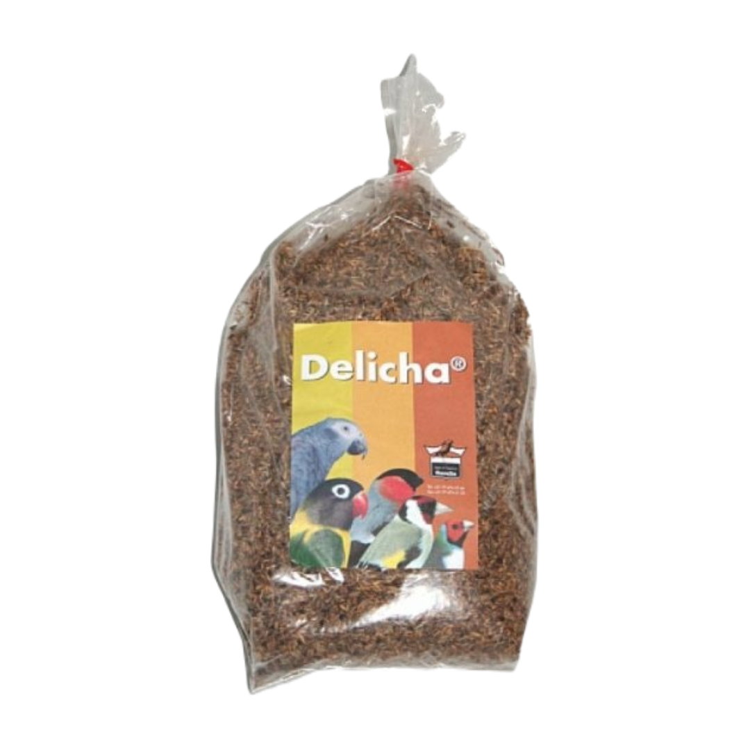 8385 Delicha graszaad