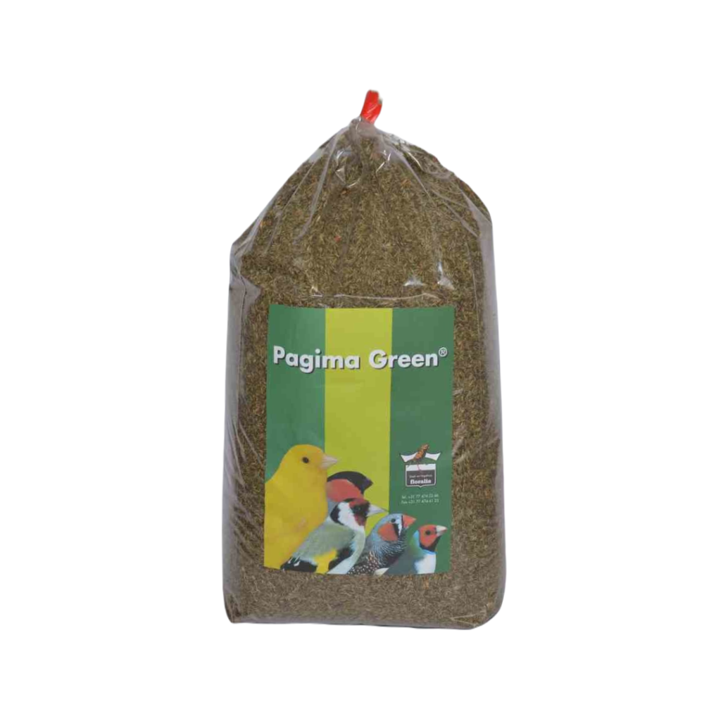 Pagima Green