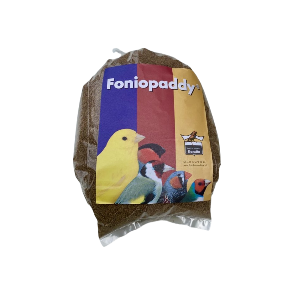 Foniopaddy
