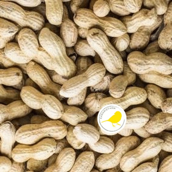 Kanariefarm Pinda's in Dop - 750 Gram