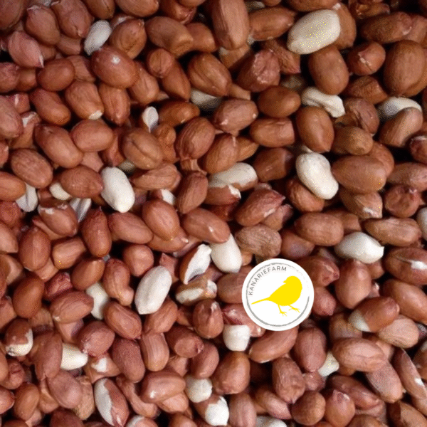 Kanariefarm Pinda's Gepeld - 2 Kilo