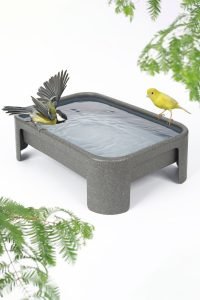 Vogelbad Johan