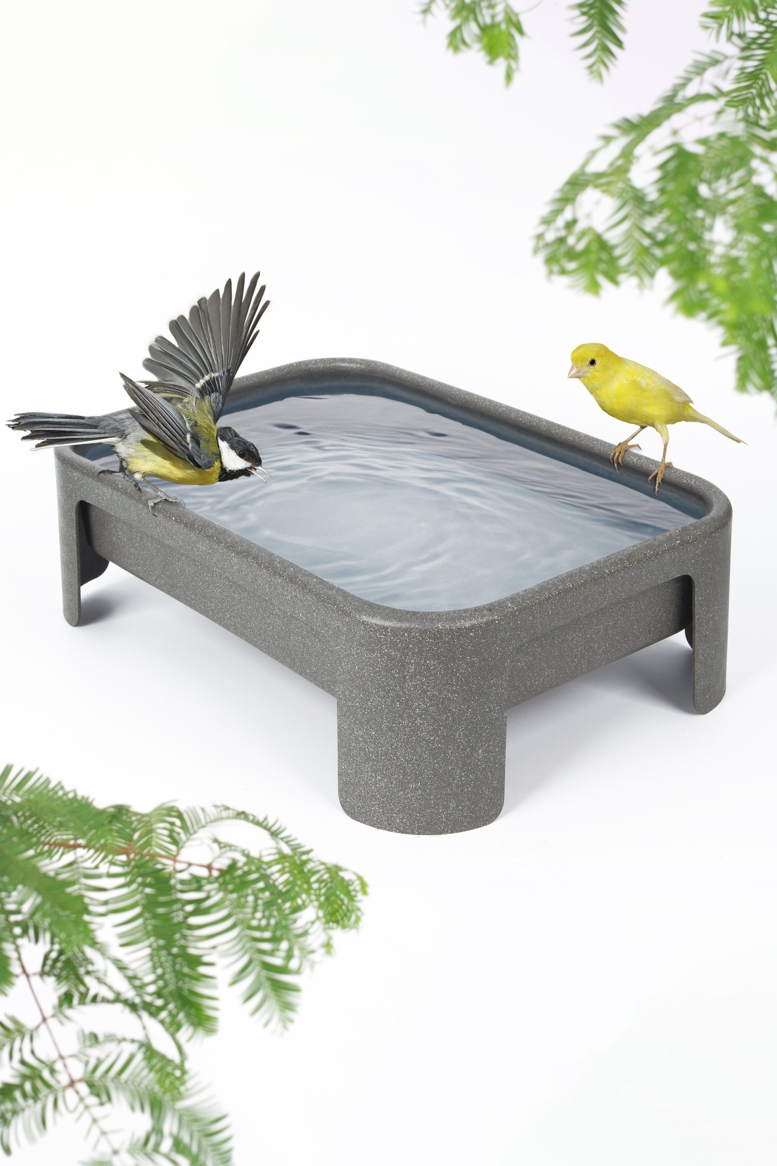 3125 Vogelbad Johan
