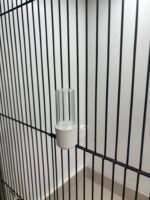 2GR Vogeldrinkfontein Dino – Wit – Hoge Voet – 20 ml - Tweede afbeelding