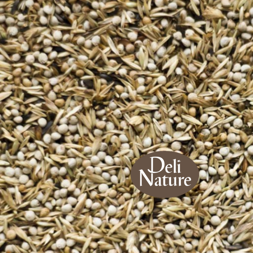 Deli Nature 98 - Amerikaanse sijsjes