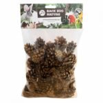 Back Zoo Nature Small Forest Pine Cones