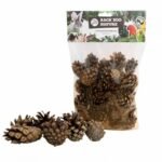 Back Zoo Nature Small Forest Pine Cones - Derde afbeelding