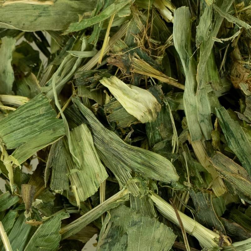 Back Zoo Nature Corn Husk