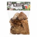 Back Zoo Nature Pine Tree Bark