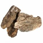 Back Zoo Nature Pine Tree Bark