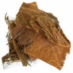 Back Zoo Nature Palm Bark - Afbeelding 2