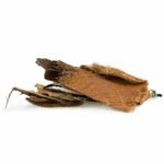 Back Zoo Nature Palm Bark - Afbeelding 4
