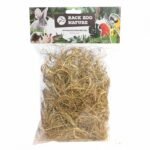 Back Zoo Nature Palm Grass