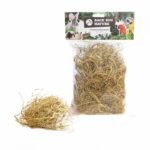 Back Zoo Nature Palm Grass - Afbeelding 3