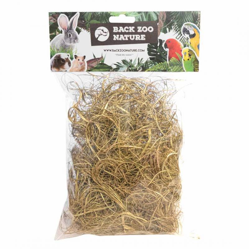 Back Zoo Nature Palm Grass