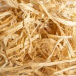 Back Zoo Nature Raffia Palm Leaves