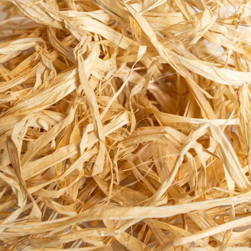 Back Zoo Nature Raffia Palm Leaves