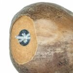 Back Zoo Nature Villa Coconut - Grote Kokosnoot - Vierde afbeelding