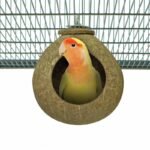 Back Zoo Nature Coconut House voor Vogels en Knaagdieren
