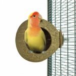 Back Zoo Nature Coconut House voor Vogels en Knaagdieren - Tweede afbeelding