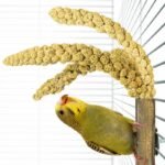 Back Zoo Nature Bamboo Grass Keeper - Houder voor Trosgierst - Derde afbeelding