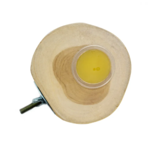 Back Zoo Nature Fruitkuiphouder Teak