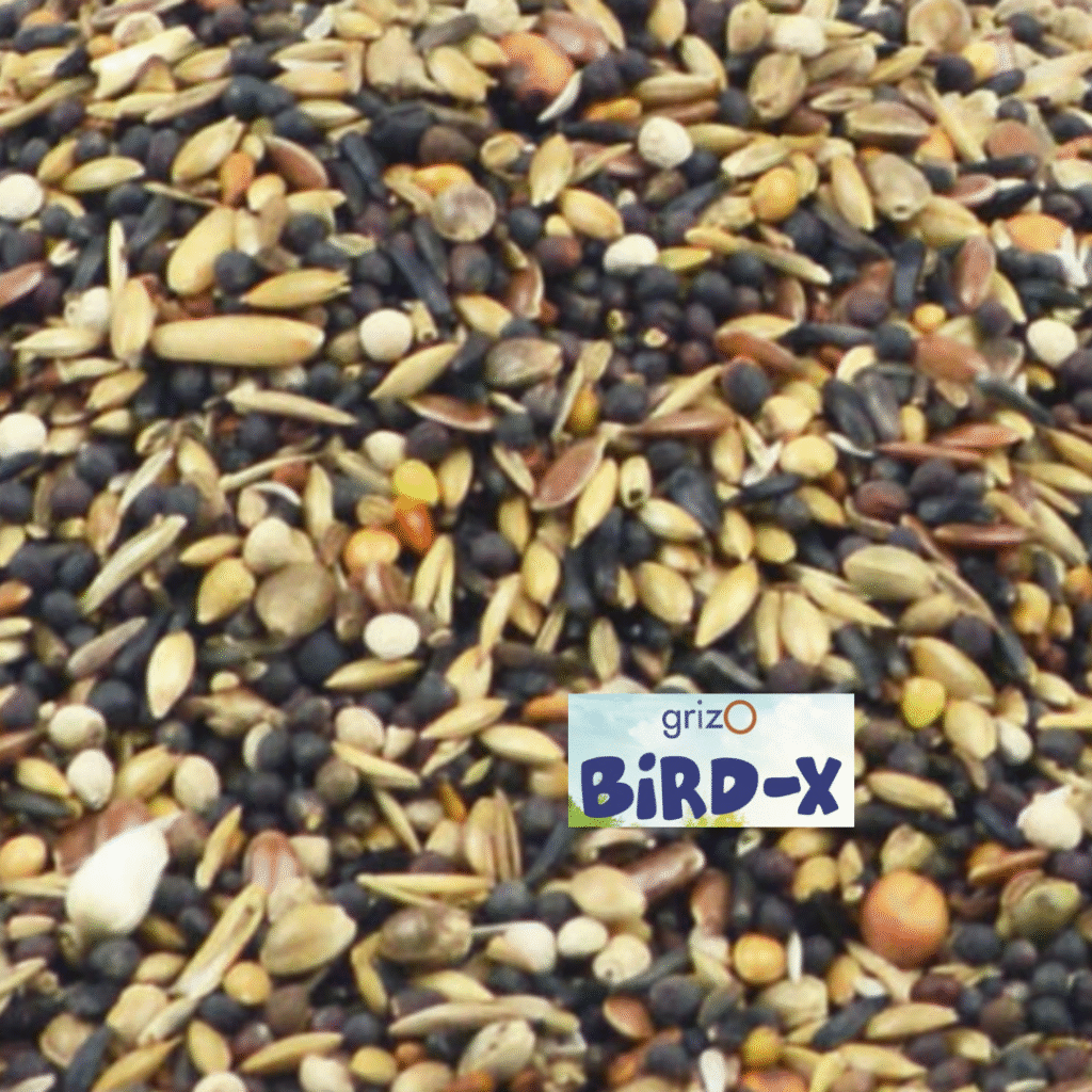 Bird-X Goudvink & Groenling Pro - 2 of 4 Kilo