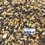Bird-X Goudvink & Groenling Pro - 2 of 4 Kilo