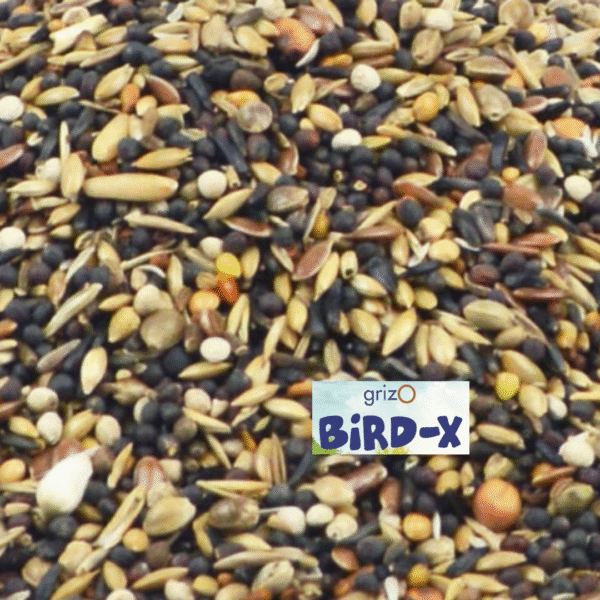 Bird-X Goudvink & Groenling Pro - 2 of 4 Kilo