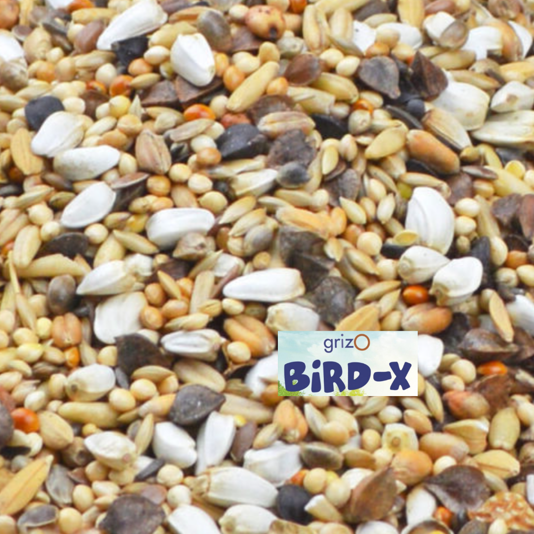 8540 GrizO Bird-X Parkietenzaad Grote Parkiet - 2 of 4 Kilo