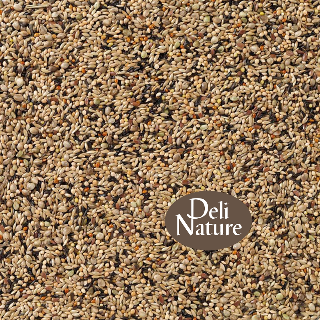 8595 Deli Nature Nr 70 - Neophema Premium - 2 of 4 Kilo