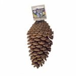 Back Zoo Nature Foraging Pine Cone - Dennenappel voor Vogels - Tweede afbeelding