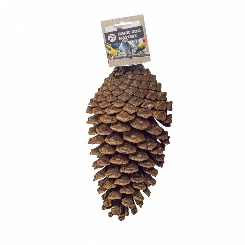Back Zoo Nature Foraging Pine Cone - Dennenappel voor Vogels - Tweede afbeelding