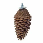 Back Zoo Nature Foraging Pine Cone - Dennenappel voor Vogels - Vierde afbeelding