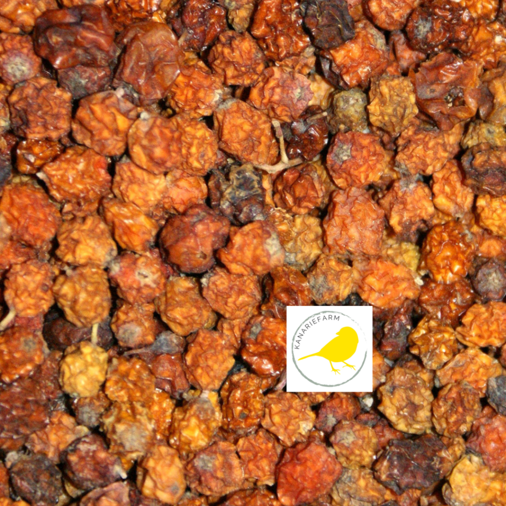 Lijsterbessen - 1 of 2 Kilo