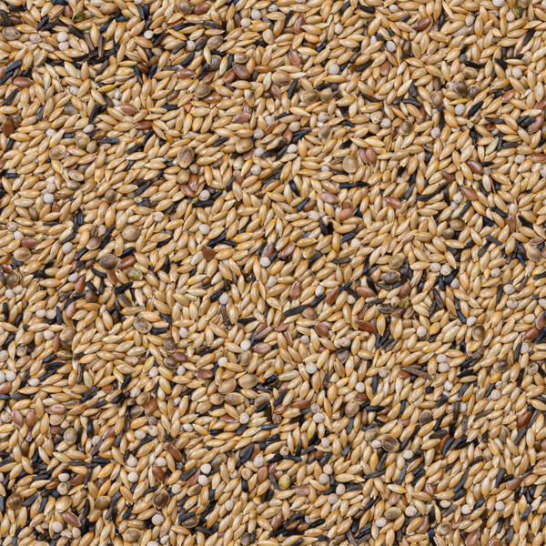 Deli Nature 54 - Kanaries Kweek met Witte Perilla - 20 Kilo - Tweede afbeelding