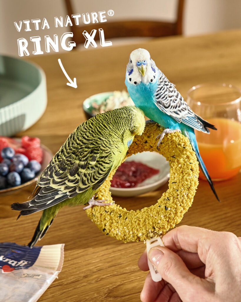 Vitakraft Vita Nature Ring XL - 70 Gram - Tweede afbeelding