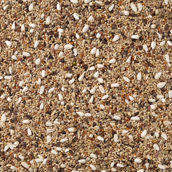 Deli Nature 72 - Agapornis Champion - 20 Kilo